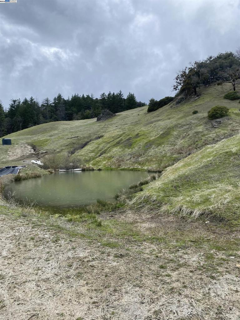 53700 Iron Creek Road Property Photo 3