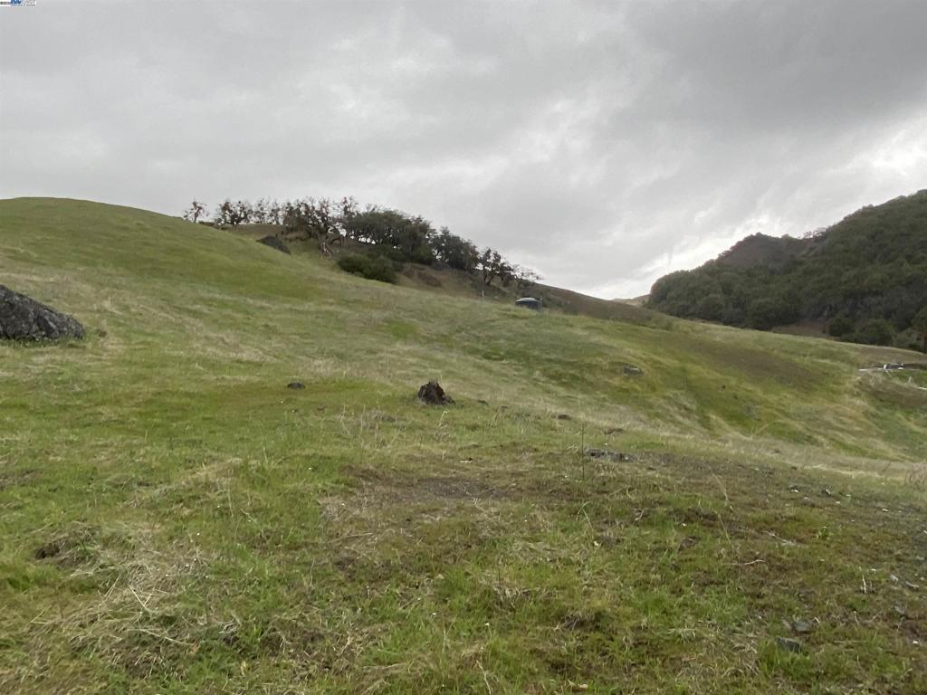 53700 Iron Creek Road Property Photo 11
