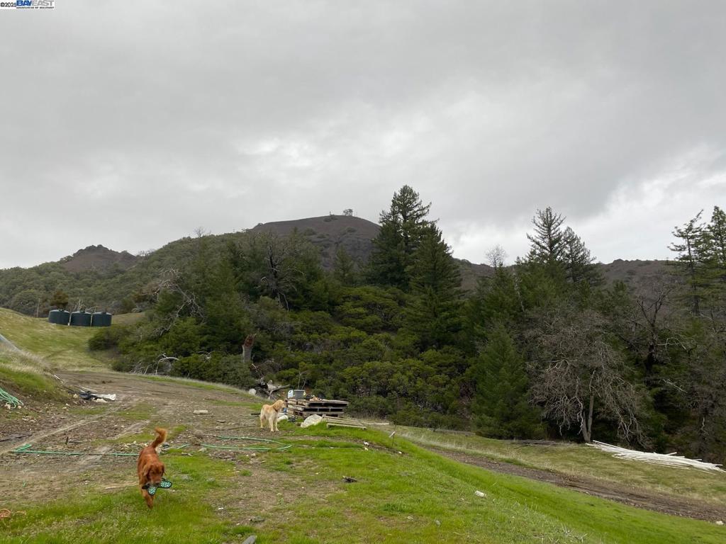53700 Iron Creek Road Property Photo 15