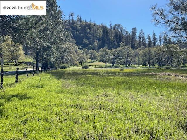 131 Salt Flat Rd Property Photo