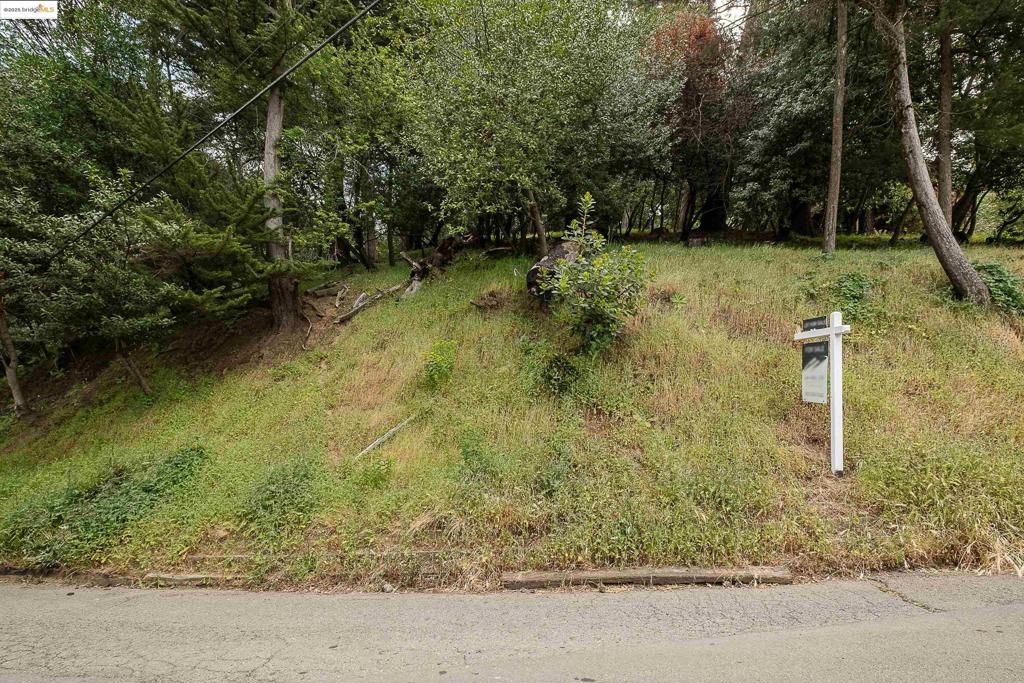 0 Chelsea Dr Property Photo 1