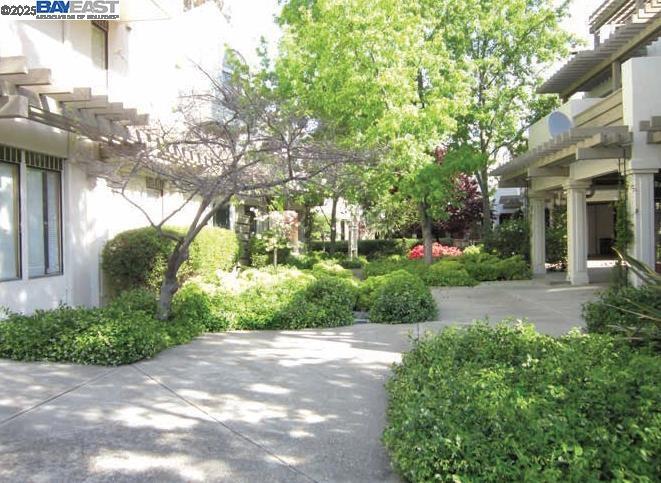 91 Gregory Ln #8 Property Photo 7