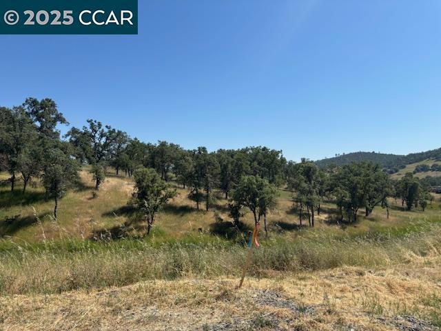 224 Quail Creek Terrace Property Photo 4