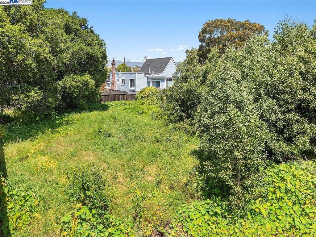310 Spruce St Property Photo 6