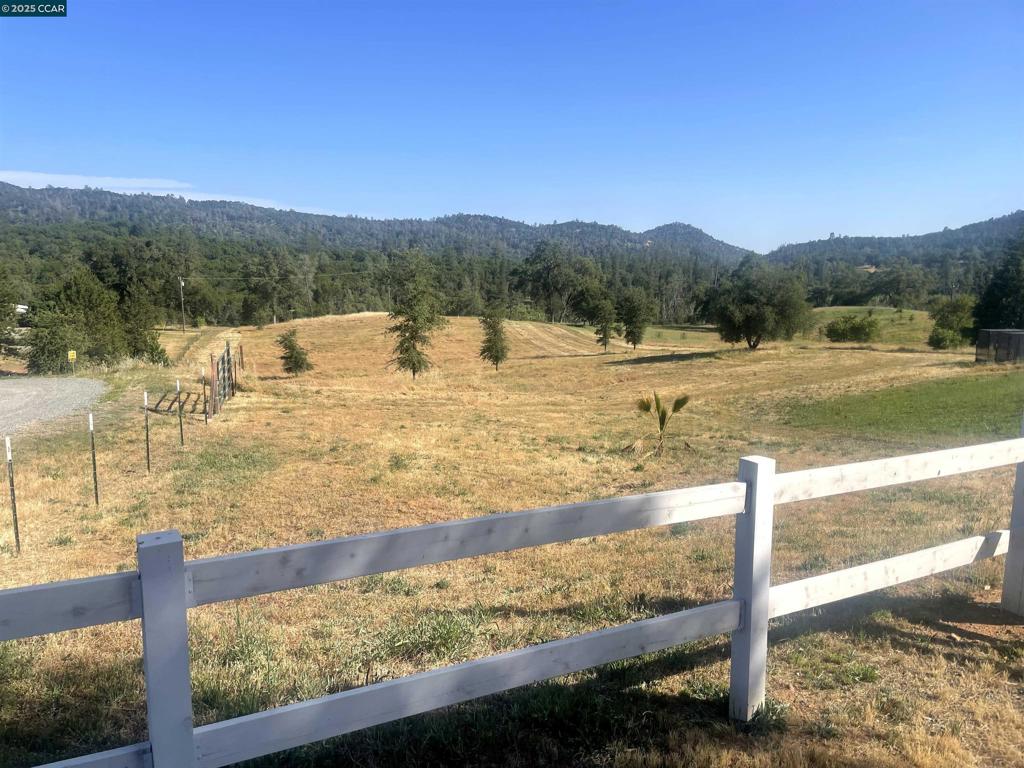 16 Paul Place Property Photo 3