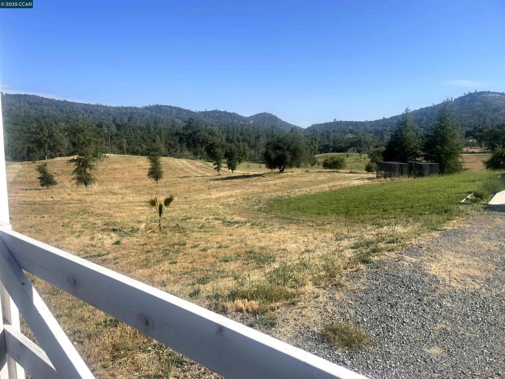 16 Paul Place Property Photo 4