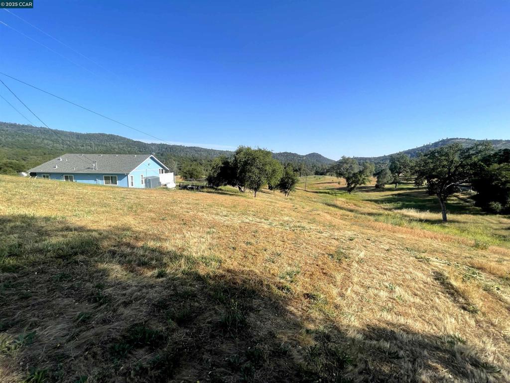 16 Paul Place Property Photo 9