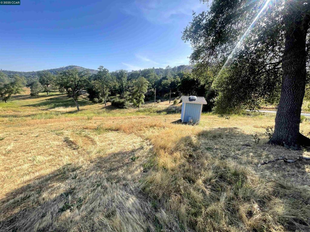 16 Paul Place Property Photo 10