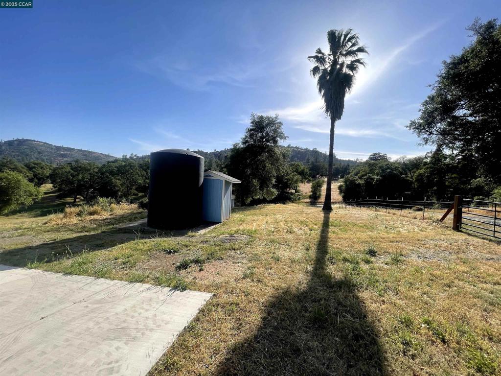 16 Paul Place Property Photo 12