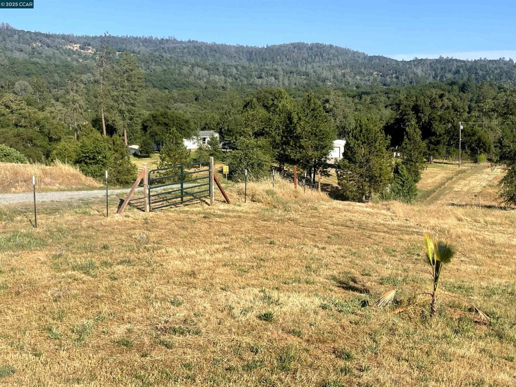 16 Paul Place Property Photo 19