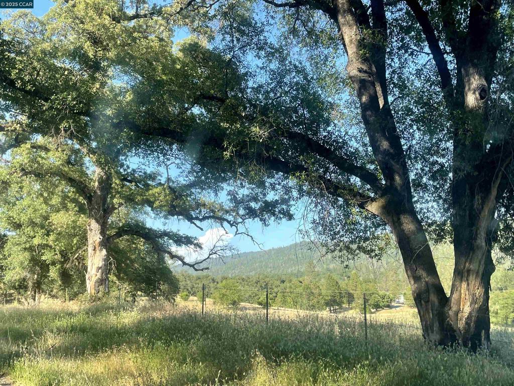 16 Paul Place Property Photo 21