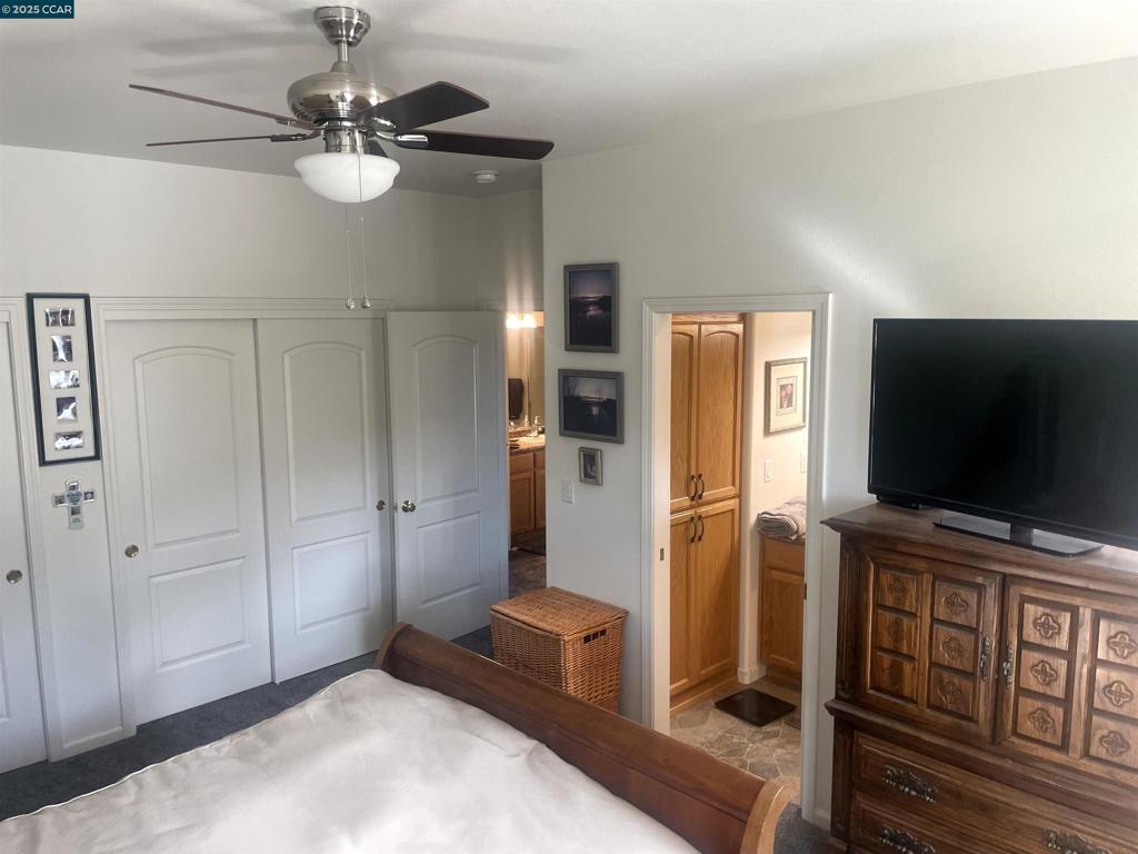 16 Paul Place Property Photo 24