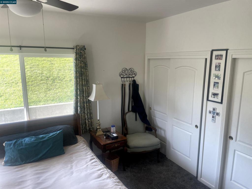 16 Paul Place Property Photo 27