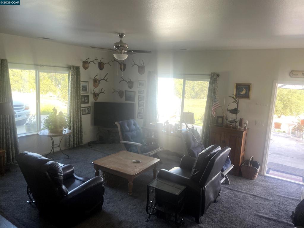 16 Paul Place Property Photo 29