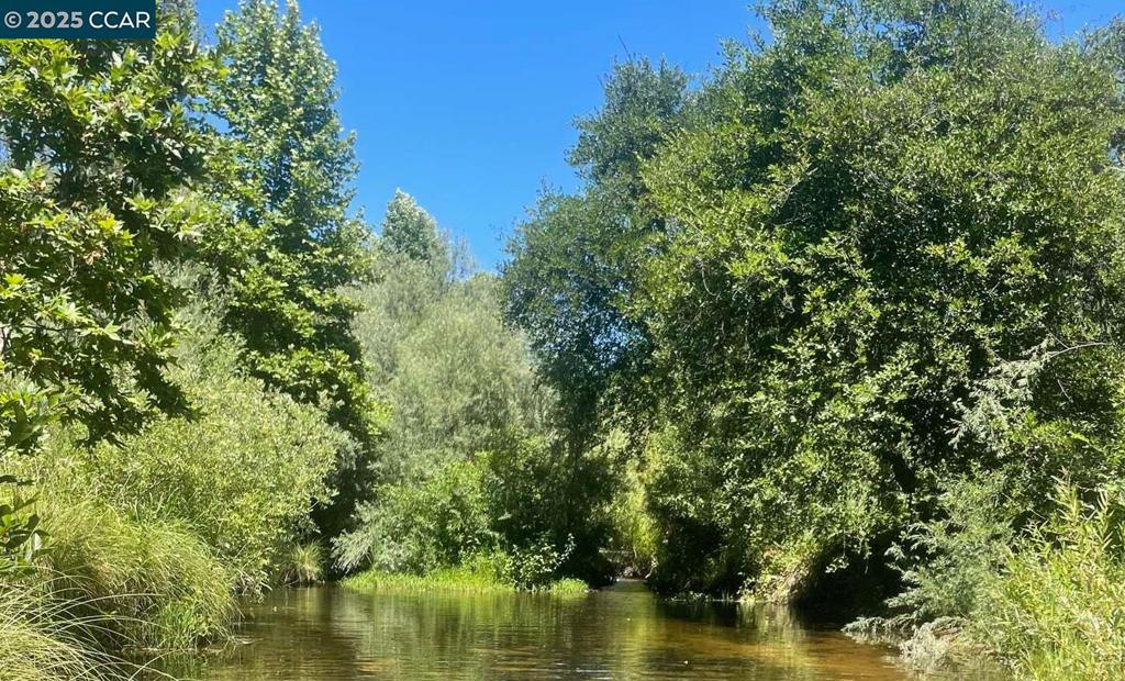 16 Paul Place Property Photo 32