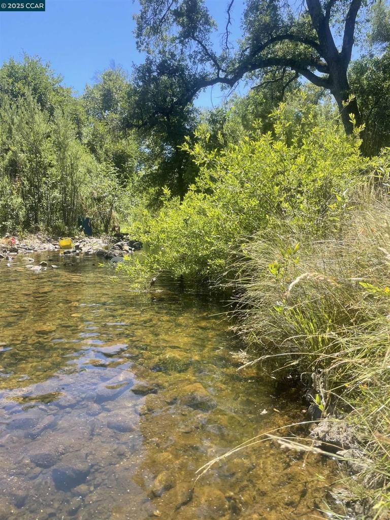 16 Paul Place Property Photo 33