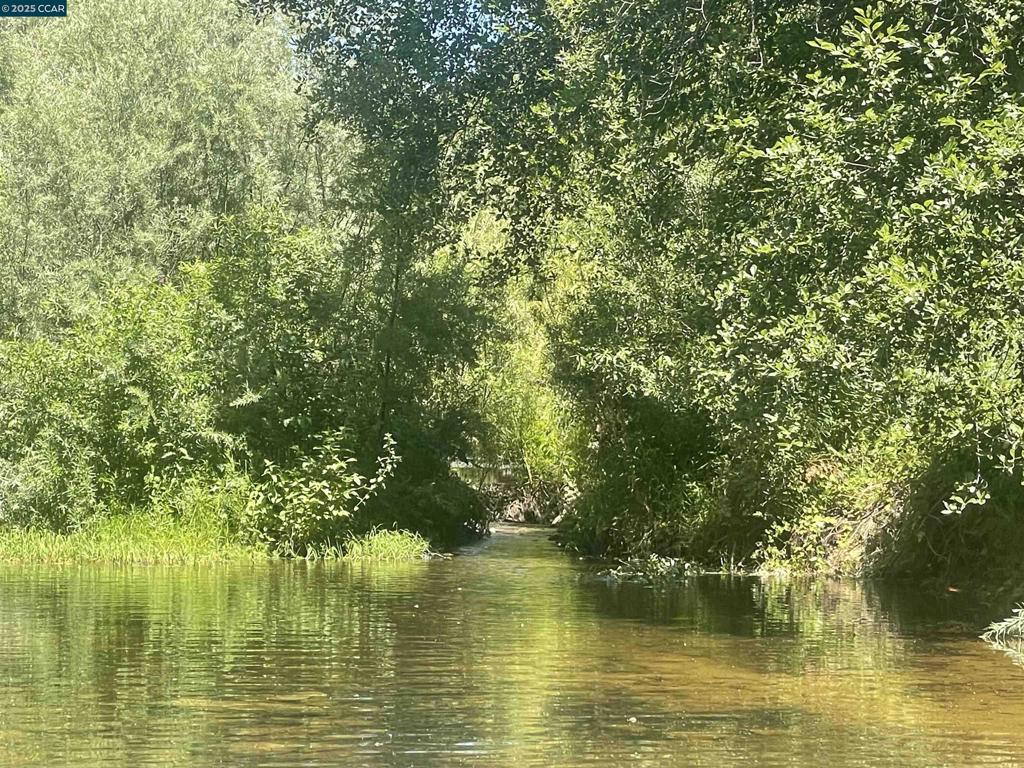 16 Paul Place Property Photo 34