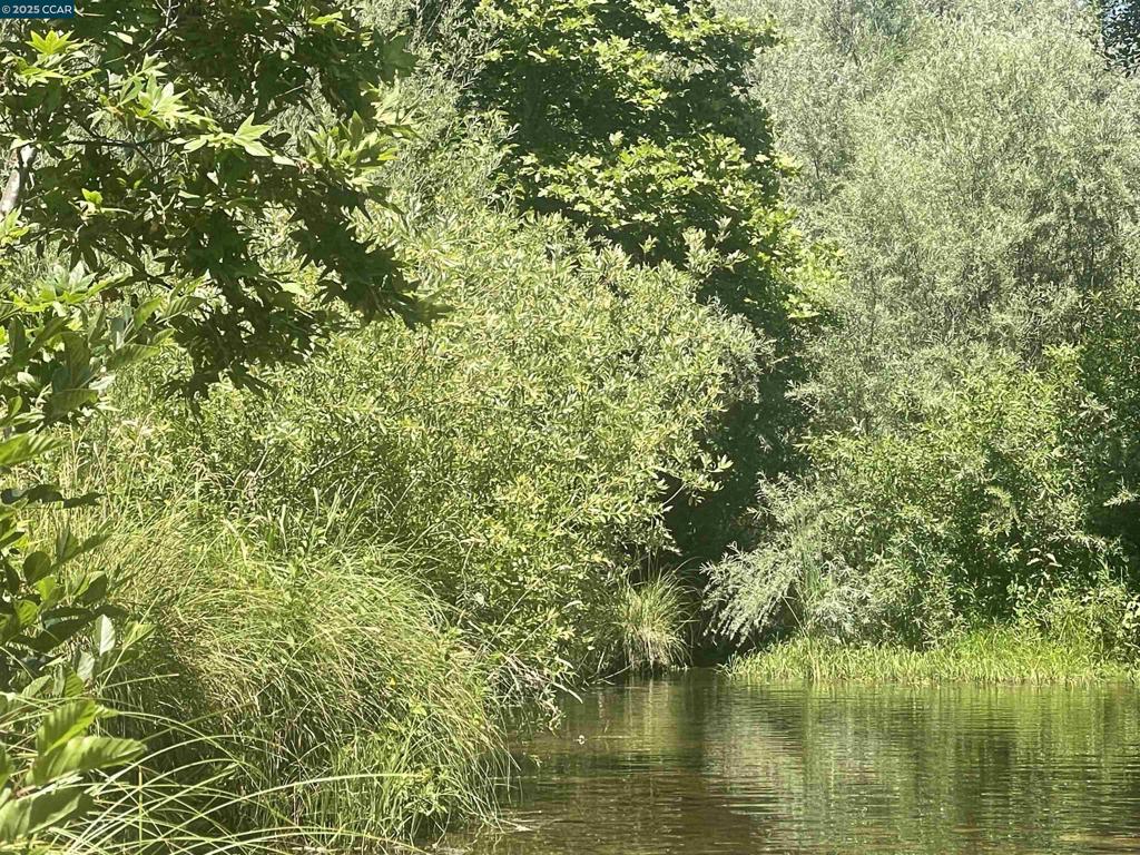 16 Paul Place Property Photo 35