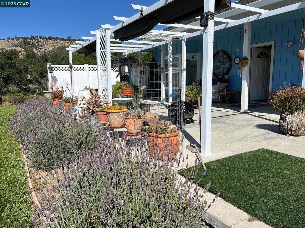 16 Paul Place Property Photo 41