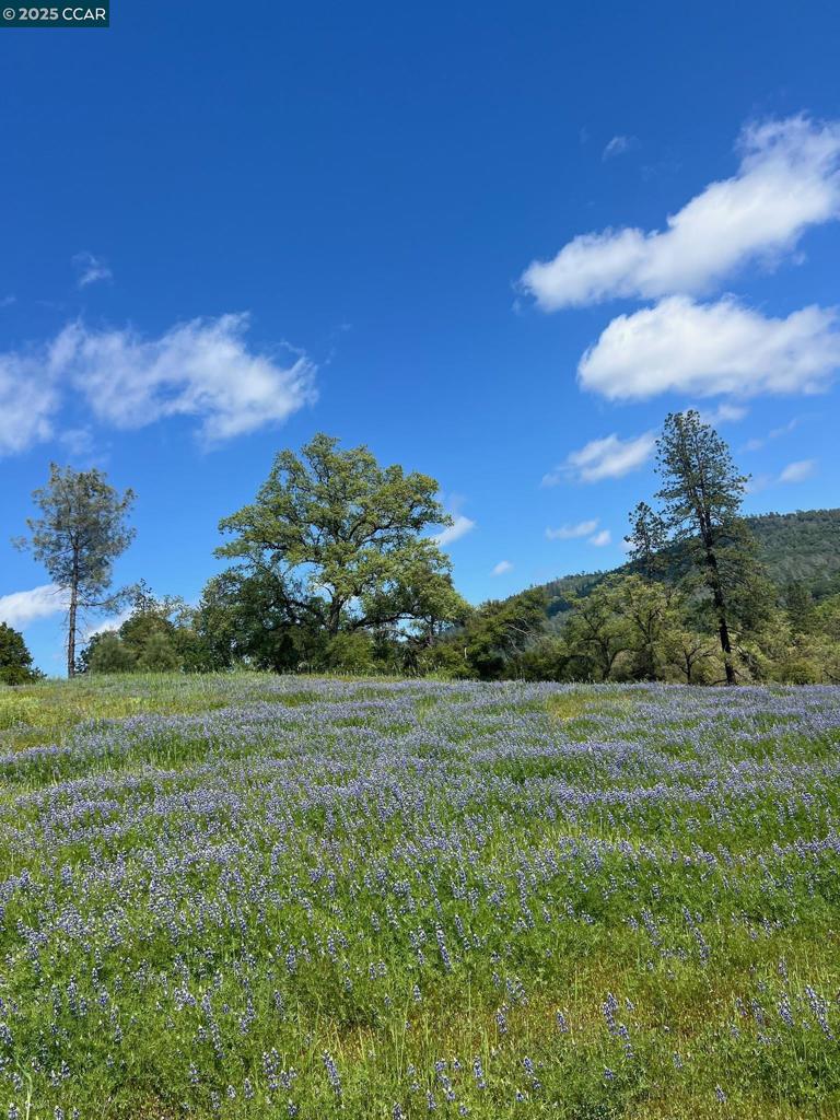 16 Paul Place Property Photo 42