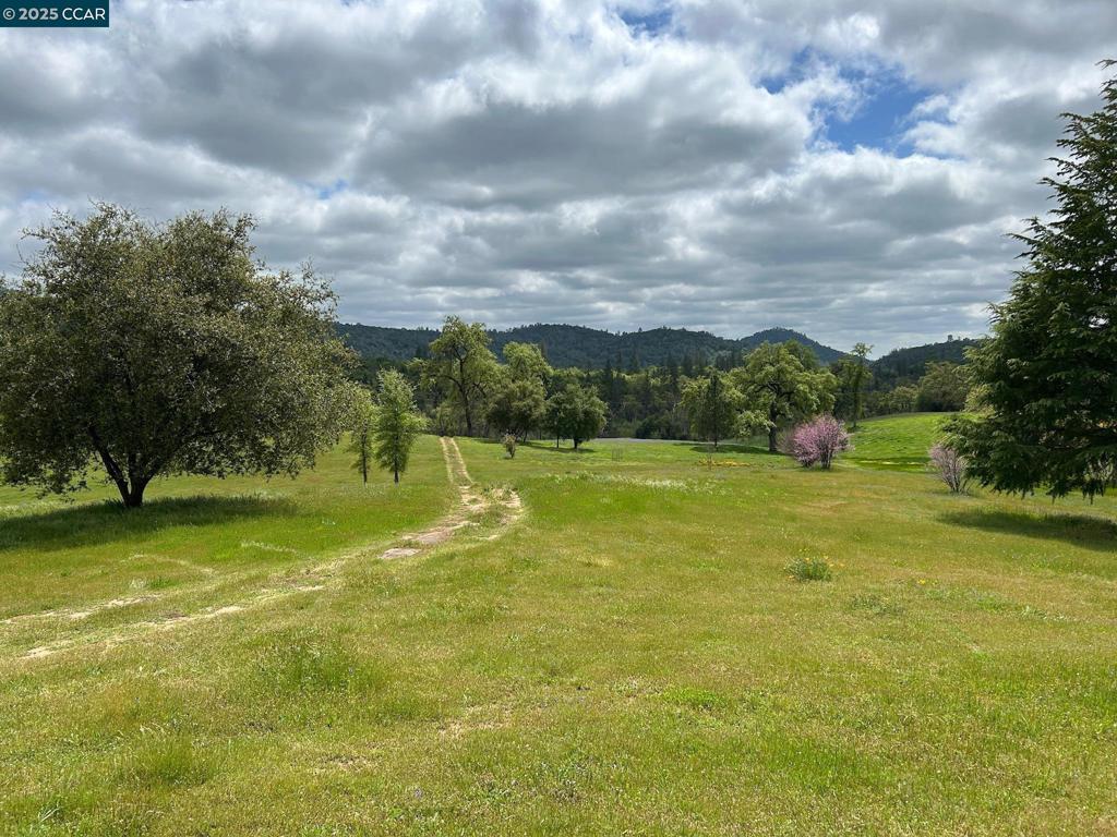 16 Paul Place Property Photo 43