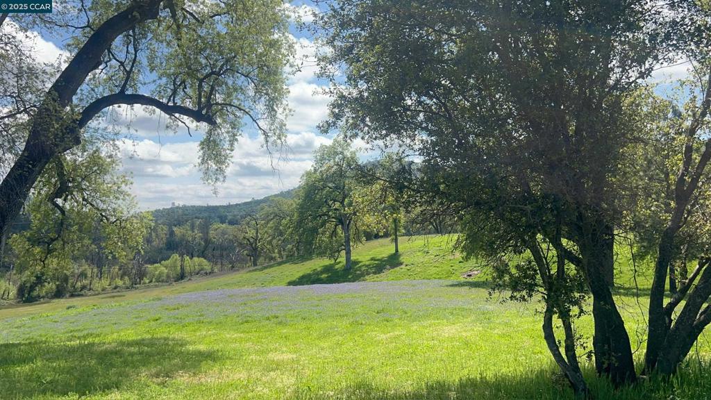 16 Paul Place Property Photo 45