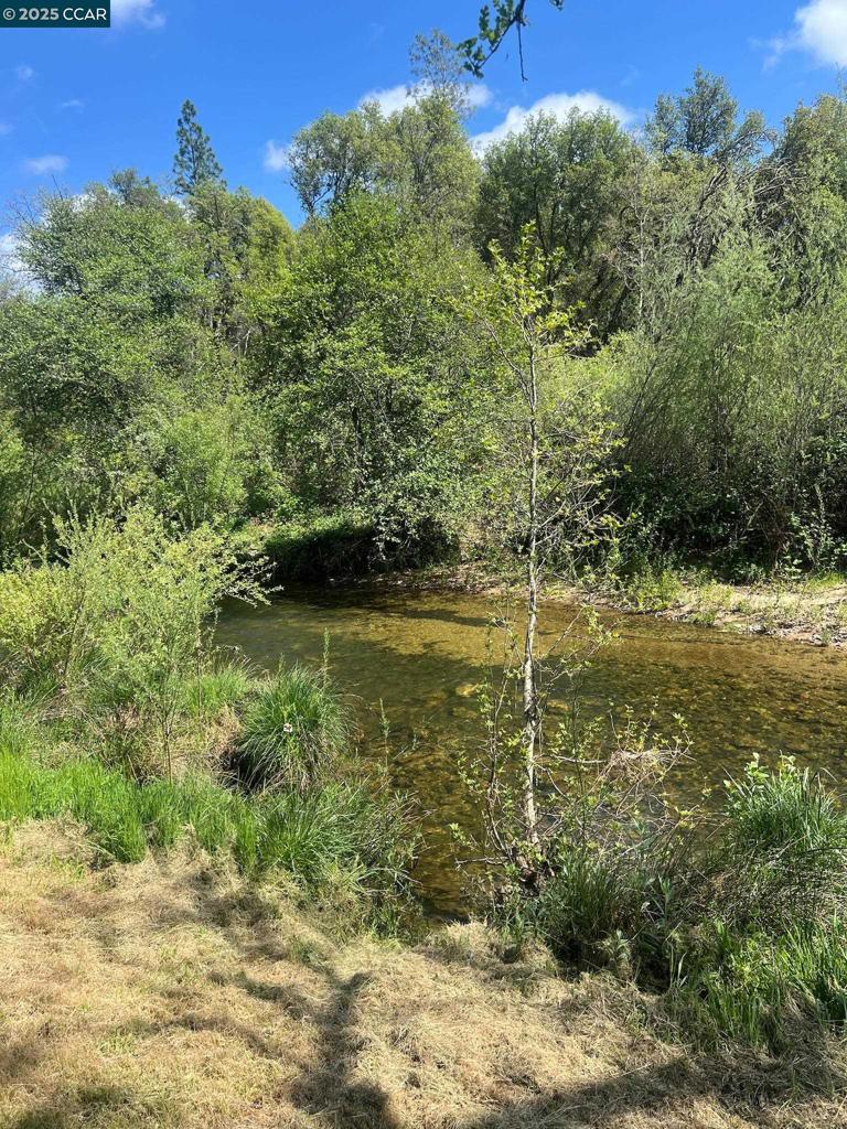 16 Paul Place Property Photo 46