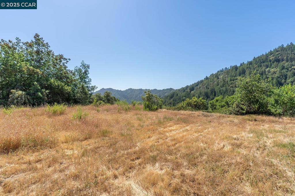 41100653 Property Photo 1