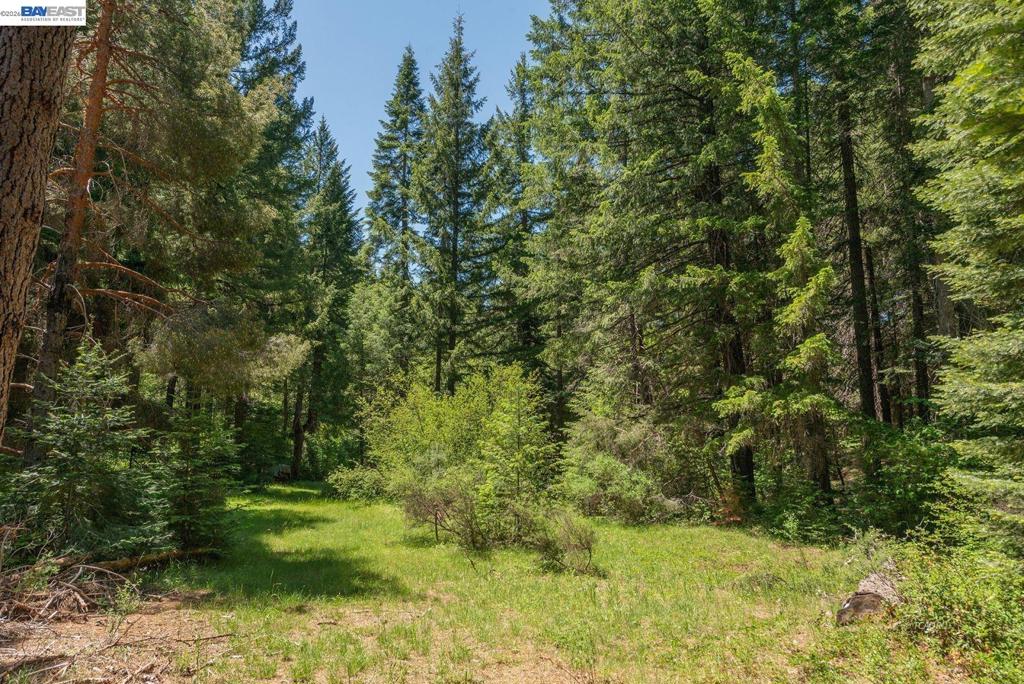 11221 Corral Bottom Rd Property Photo 26