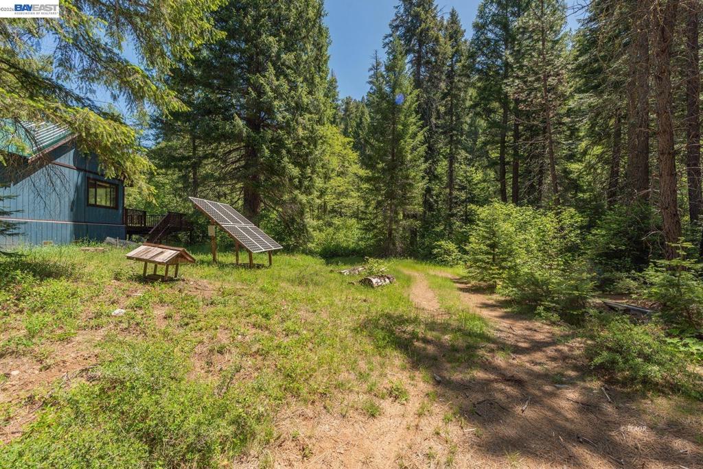 11221 Corral Bottom Rd Property Photo 29