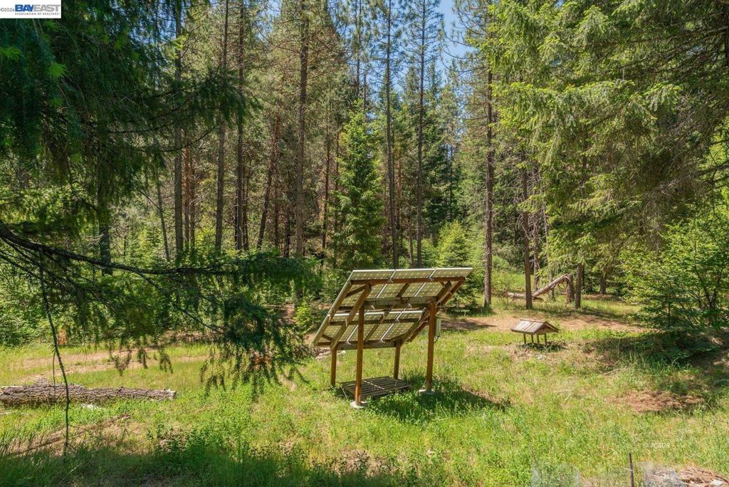 11221 Corral Bottom Rd Property Photo 35