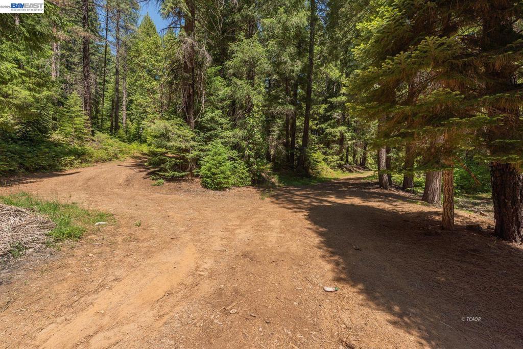 11221 Corral Bottom Rd Property Photo 46