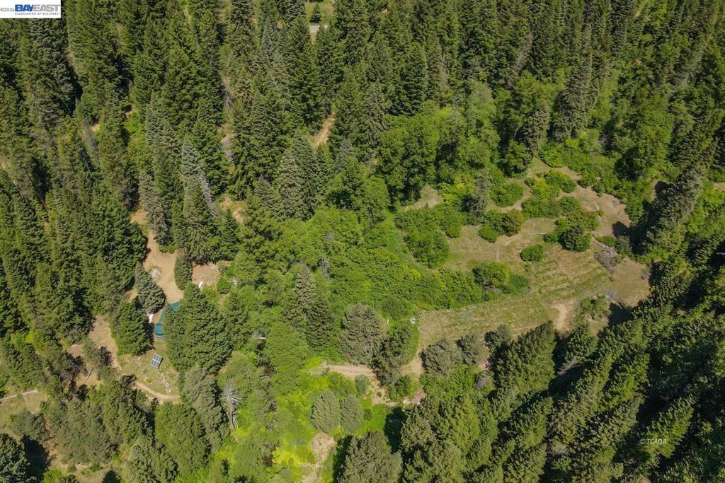 11221 Corral Bottom Rd Property Photo 48