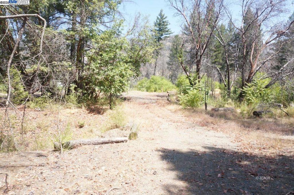 250 Bear Springs Property Photo 1