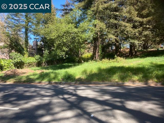 0 Skyline Blvd. Property Photo 3