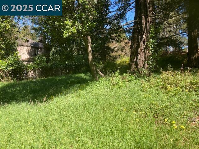 0 Skyline Blvd. Property Photo 6