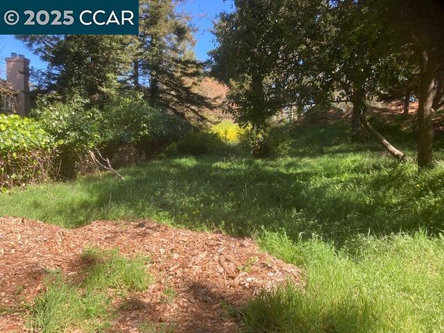0 Skyline Blvd. Property Photo 7