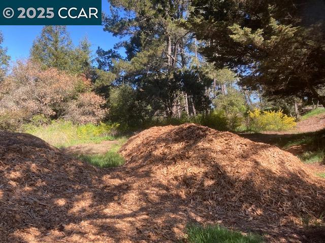 0 Skyline Blvd. Property Photo 8