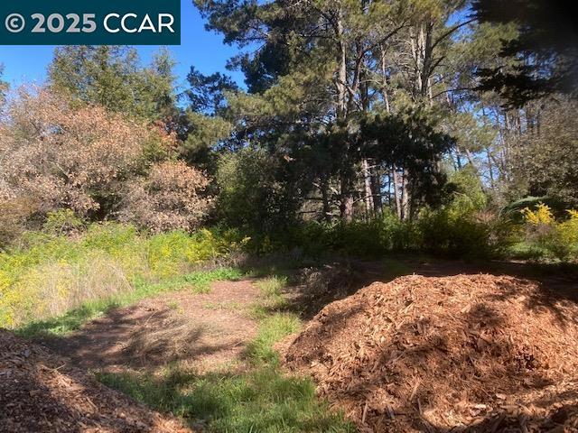0 Skyline Blvd. Property Photo 9