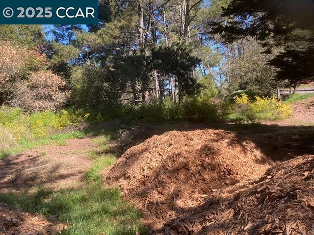 0 Skyline Blvd. Property Photo 10