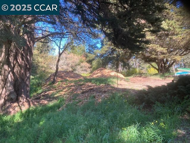 0 Skyline Blvd. Property Photo 11