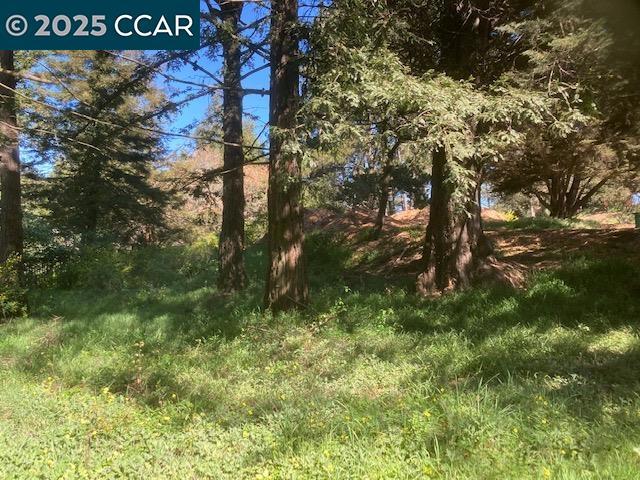 0 Skyline Blvd. Property Photo 12