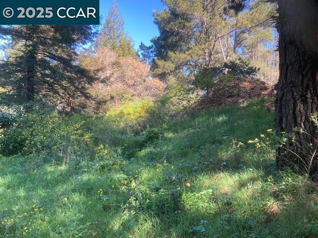 0 Skyline Blvd. Property Photo 13