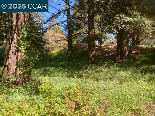 0 Skyline Blvd. Property Photo 14