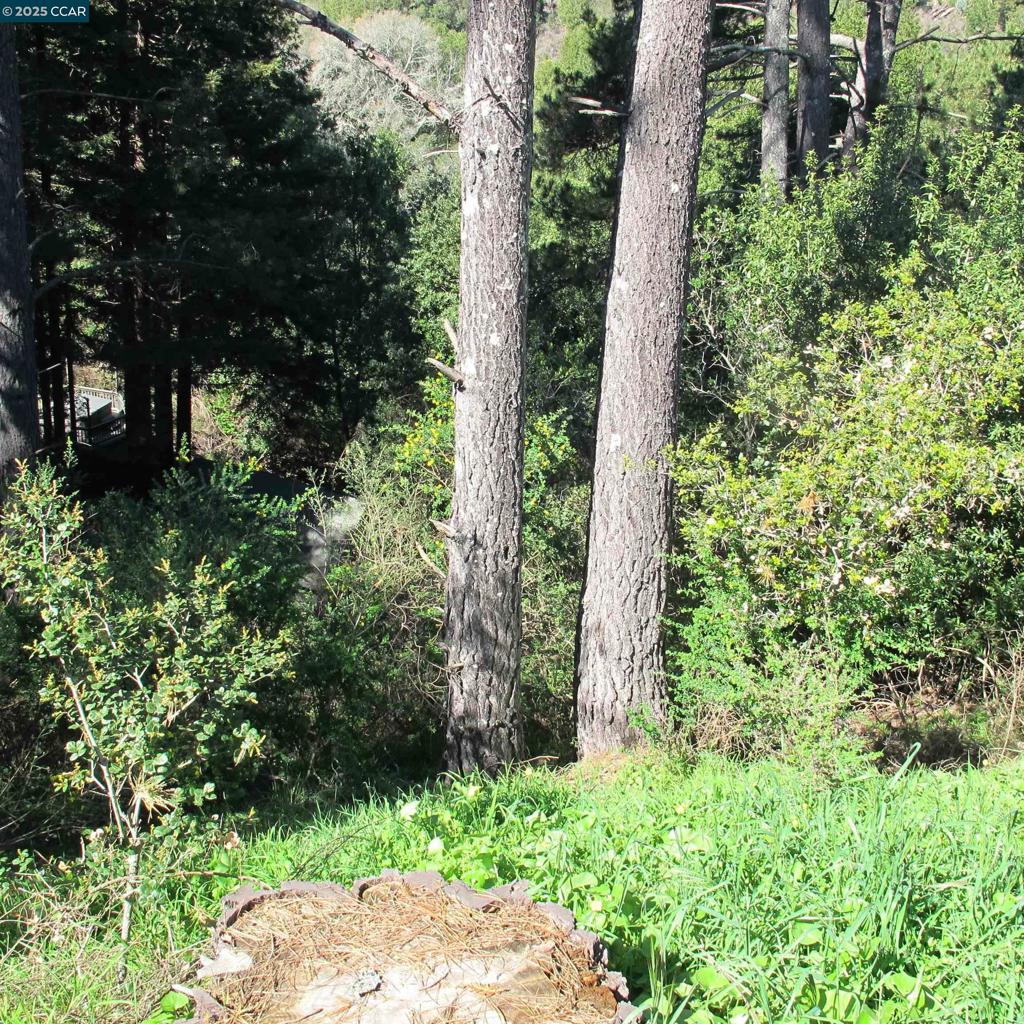 0 Skyline Blvd. Property Photo 15