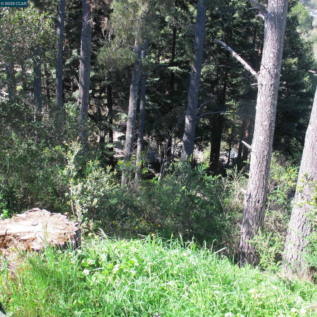 0 Skyline Blvd. Property Photo 16