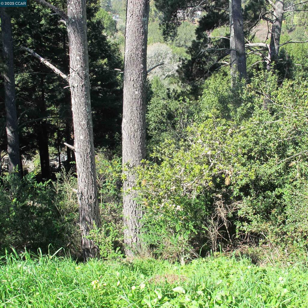 0 Skyline Blvd. Property Photo 17