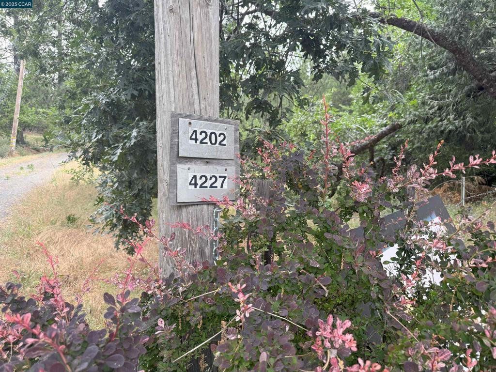 4227 Meadow View Rd Property Photo 1