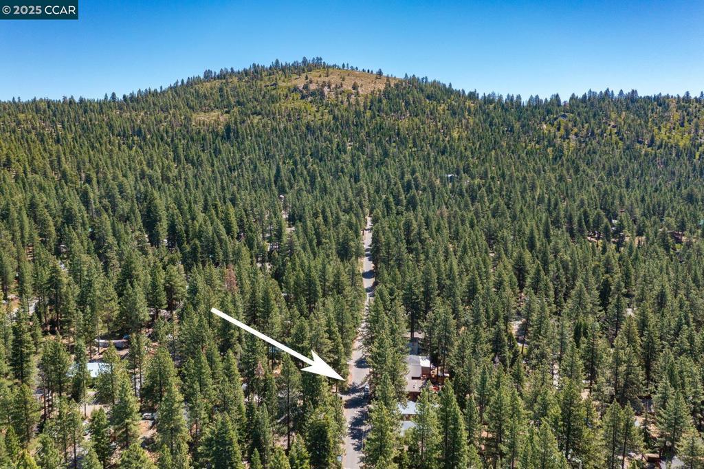 8660 Dolly Varden Ave Property Photo 20