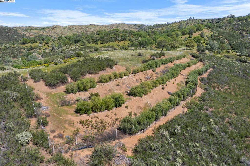 59480 Mines Rd Property Photo 8